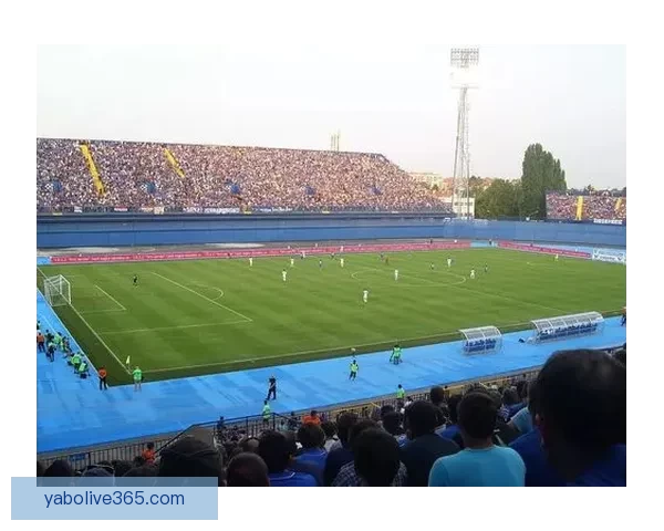 世界杯竞猜盘口分析与预测专家解读助你轻松赢得比赛奖励